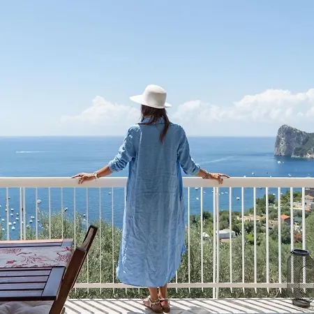 Olga's Villa
