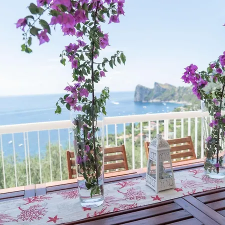Olga's Villa